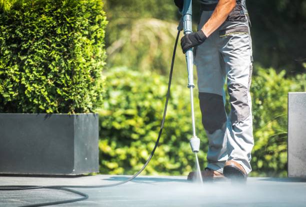 Best Warehouse Cleaning  in Hawi, HI