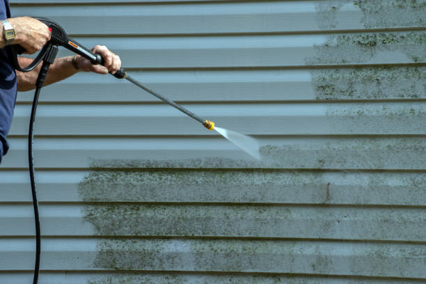 Best Roof Washing  in Hawi, HI